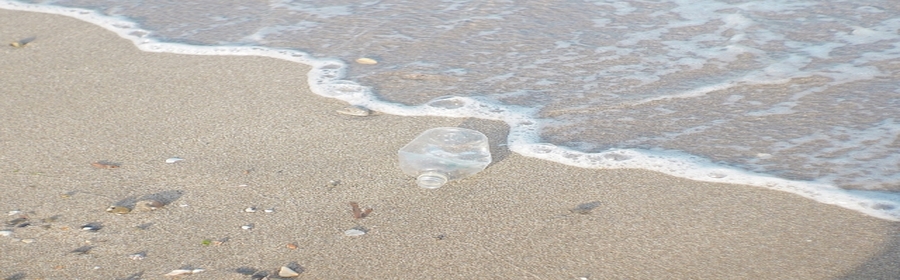 プラスチック環境問題への取組み